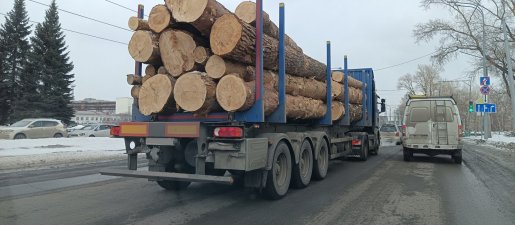 Поиск транспорта для перевозки леса, бревен и кругляка стоимость услуг и где заказать - Киров