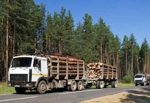 Лесовоз Лесовозы для перевозки леса, аренда и услуги. взять в аренду, заказать, цены, услуги - 