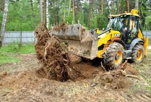 Удаление пней и корчевание вручную и со спецтехникой